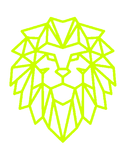 FNS Padel Academy Logo
